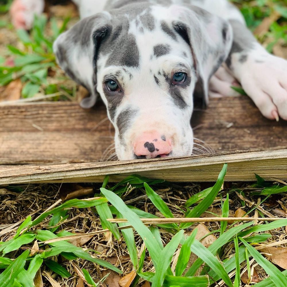 Meet your Posher, J.j.